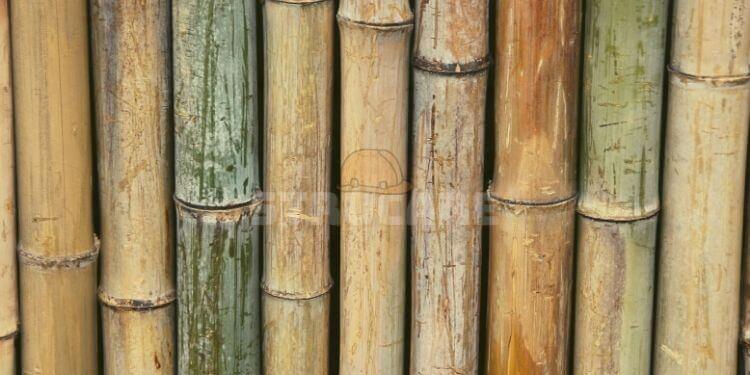 bambu yapı malzemesi özellikleri